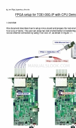 DG FPGA Setup