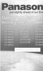 Panasonic CT-20G24 Manual de instrucciones