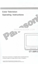 Panasonic CT-20R13 Gebruiksaanwijzing