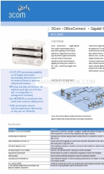 3Com 3C1671600 Veri Sayfası