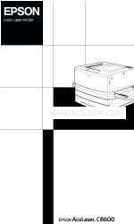 Epson AcuLaser C8600 Setup Manual