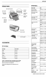 Epson C11C546011-N - Stylus Photo R200 Manual do utilizador