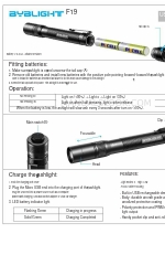 byblight F19 Manuale d'uso