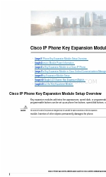 Cisco 8800 Series Handmatig