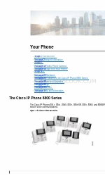 Cisco 8800 Series Manual