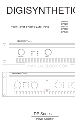 DIGISYNTHETIC DP3200 Benutzerhandbuch