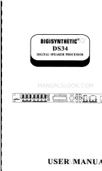 DIGISYNTHETIC DS34 Manuale d'uso