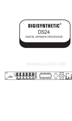 DIGISYNTHETIC DS24 Manuel de l'utilisateur