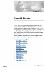 Cisco 30 VIP System Manual