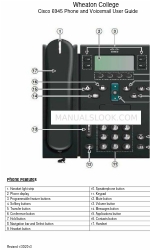 Cisco 6945 Series Podręcznik użytkownika