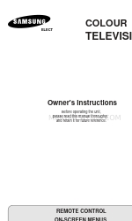 Samsung 29D6 Owner's Instructions Manual