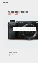 Sony Alpha NEX-6 Specificaties