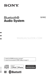 Sony MEX-N4050BT Manuale di istruzioni per l'uso