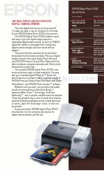Epson 875DC - Stylus Photo Color Inkjet Printer Spécifications