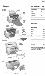 Epson R800 - Stylus Photo Color Inkjet Printer Ürün Bilgileri