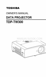 Toshiba TDP-TW300 소유자 매뉴얼