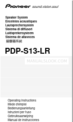 Pioneer PDP-S13-LR Руководство по эксплуатации