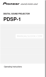 Pioneer PDSP-1 Betriebsanleitung