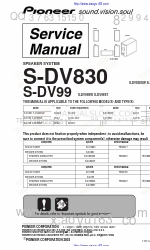 Pioneer S-DV99 Manuale di servizio