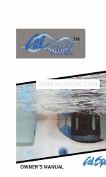 Cal Spas CalSalt Filtration Owner's Manual