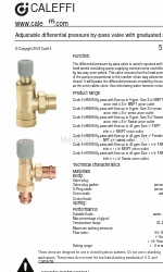 CALEFFI 519709A Quick Start Manual