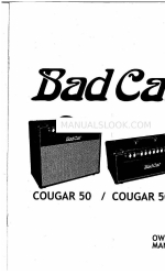 Bad Cat Cougar 50 소유자 매뉴얼