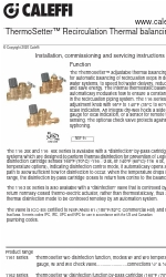 CALEFFI ThermoSetter 116D40A Manual