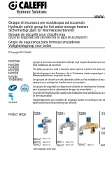 CALEFFI 319 Series 매뉴얼