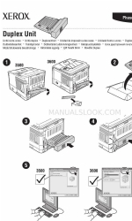 Xerox 3600B - Phaser B/W Laser Printer Optionen Handbuch