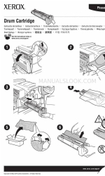 Xerox 5500DX - Phaser B/W Laser Printer Instruction Sheet