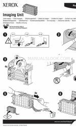 Xerox 6130N - Phaser Color Laser Printer Fiche d'instruction