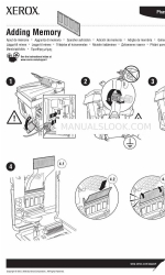 Xerox 8560DT - Phaser Color Solid Ink Printer Manuale supplementare