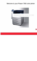 Xerox Phaser 7800 Formação