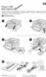 Xerox 7500/N - Phaser Color LED Printer Ergänzendes Handbuch