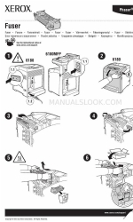 Xerox Phaser 6180 Tamamlayıcı Kılavuz