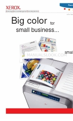 Xerox 6100BD - Phaser Color Laser Printer Brochure & specificaties