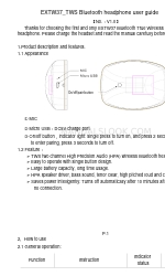 Direct Sound EXTW37 Manual do utilizador