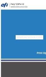 Xerox Legacy 4110 Print Options