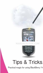 Blackberry 7100T - TIPS ヒントとコツ・マニュアル