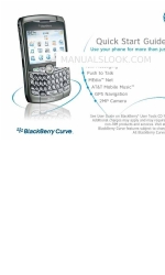 Blackberry 8310 Curve AT&T Schnellstart-Handbuch