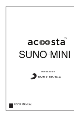 Acoosta SUNO MINI Руководство пользователя