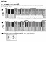 Yamaha Arius YDP-S51 Quick Operation Manual