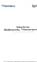 Blackberry BlackBerry Sprint 8703e Руководство по настройке