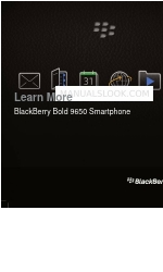 Blackberry Bold 9650 Series Руководство пользователя