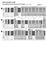 Yamaha Electone D-3 Beknopte handleiding