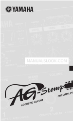 Yamaha AG-Stomp Manuale (olandese)