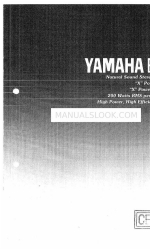 Yamaha B-6 Owner's Manual