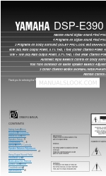 Yamaha DSP-E390 Owner's Manual