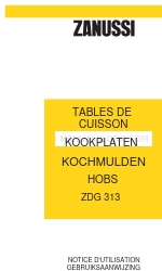 Zanussi ZDG 323 Instructieboekje