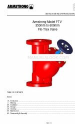 Armstrong FTV Installations- und Betriebsanleitung